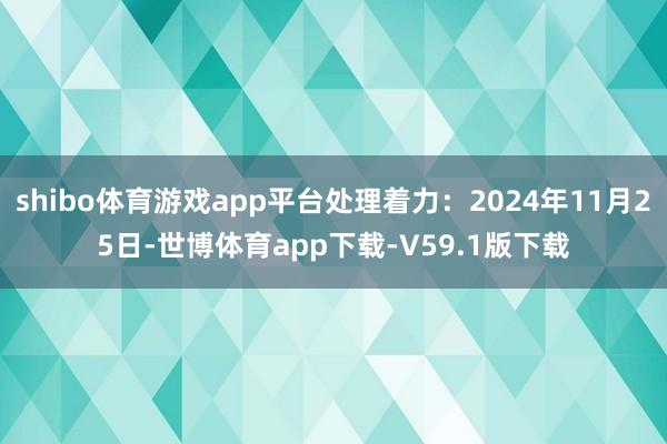 shibo体育游戏app平台处理着力：2024年11月25日-世博体育app下载-V59.1版下载