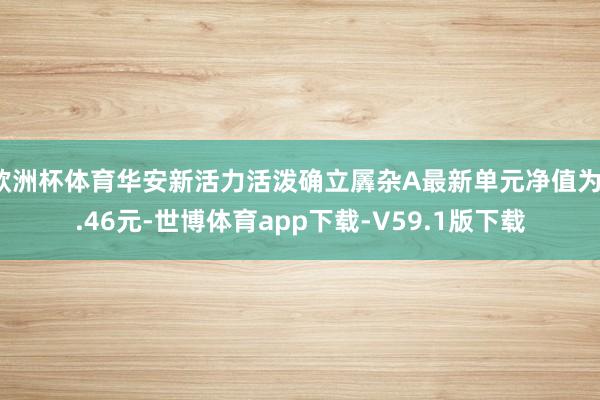 欧洲杯体育华安新活力活泼确立羼杂A最新单元净值为1.46元-世博体育app下载-V59.1版下载